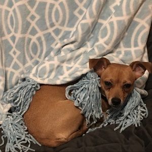 Meet your Posher, Jackie